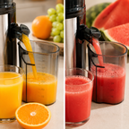 Juice Extractor Machine 850W with Stainless Steel Body