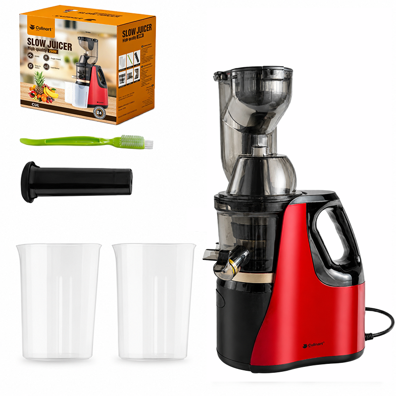 Machine à jus à rotation lente 250 W pour la vente au détail et en gros